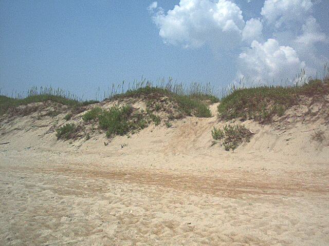 Dunes.jpg